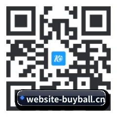 系统版 iOS 二维码