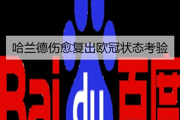 哈兰德伤愈复出欧冠状态考验